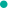 海关总署：防止柬埔寨非洲猪瘟传入我国